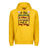 Lemon at the ballpark is where i spend most my days Premium Hoodie - BundleAndBundleShop