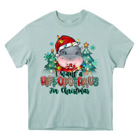 Arona i want a hippopotamus for christmas Heavy Core Tee - MaliasSmallBusiness