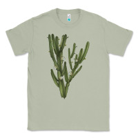 Matcha cereus jamacaru Classic Tee - LillyAllenDesigns