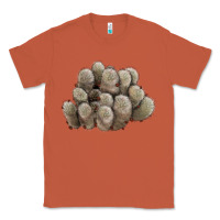 Copper brown flowered cactus Classic Tee - LillyAllenDesigns