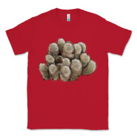 Red brown flowered cactus Classic Tee - LillyAllenDesigns