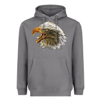 Storm Bald Head Eagle Heavyweight Hoodie - LillyAllenDesigns
