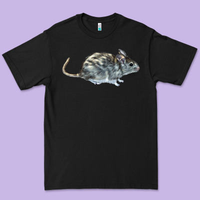 Packrat Aka, Woodrat Premium Tee Designed By Lillyallendesigns