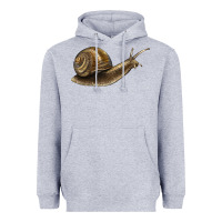 Heather Grey snail Heavyweight Hoodie - LillyAllenDesigns