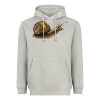 Moon Dust snail Heavyweight Hoodie - LillyAllenDesigns