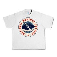 Lunar Rock national weather service nws Urban Heavy Tee - tuanDangUi