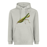 Moon Dust mantis Heavyweight Hoodie - LillyAllenDesigns