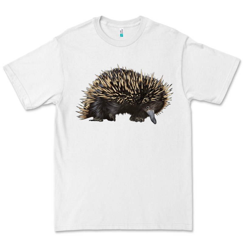 Short Beaked Echidna Premium Tee by LillyAllenDesigns | Teevron