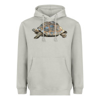 Moon Dust Tortoise Illustrations Heavyweight Hoodie - LillyAllenDesigns