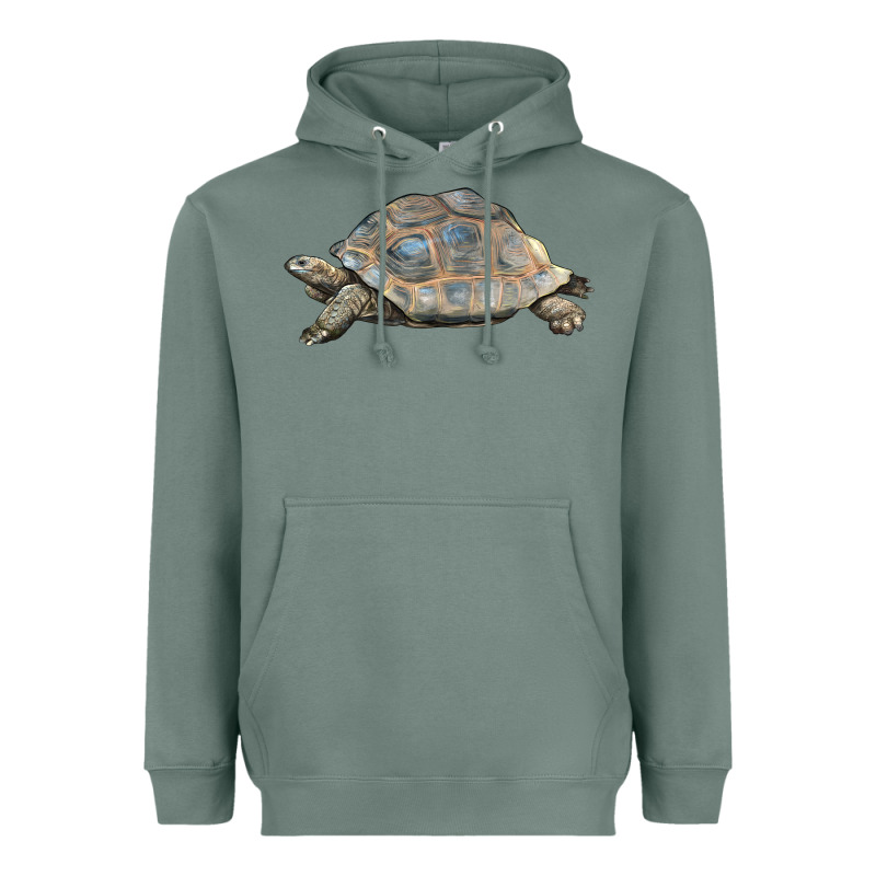 Tortoise Illustrations Heavyweight Hoodie by LillyAllenDesigns | Teevron