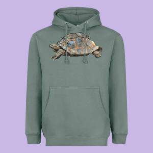 Tortoise Illustrations Heavyweight Hoodie Designed By Lillyallendesigns