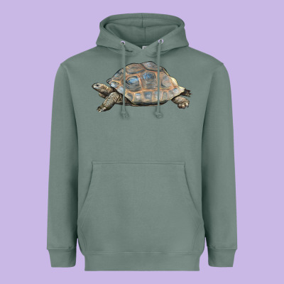 Tortoise Illustrations Heavyweight Hoodie Designed By Lillyallendesigns