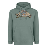 Sage Tortoise Illustrations Heavyweight Hoodie - LillyAllenDesigns