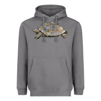 Storm Tortoise Illustrations Heavyweight Hoodie - LillyAllenDesigns
