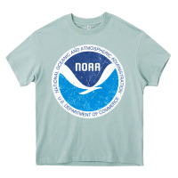 Arona noaa vintage design Heavy Core Tee - tuanDangUi