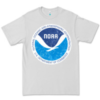 Dove Grey noaa vintage design Premium Tee - tuanDangUi