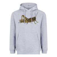 Heather Grey Grasshopper Heavyweight Hoodie - LillyAllenDesigns