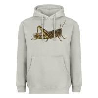 Moon Dust Grasshopper Heavyweight Hoodie - LillyAllenDesigns