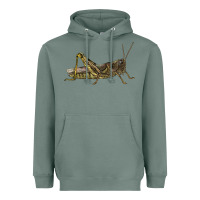 Sage Grasshopper Heavyweight Hoodie - LillyAllenDesigns