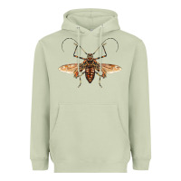 Matcha acrocinus beetle with wings Heavyweight Hoodie - LillyAllenDesigns
