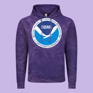 Noaa Vintage Design Vintage Hoodie Designed By Tuandangui