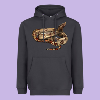 Red Tail Boa Snake Heavyweight Hoodie Designed By Lillyallendesigns
