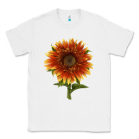 White The  Sunflower Classic Tee - LillyAllenDesigns