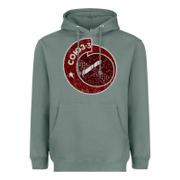 Sage soyuz 3 space program Heavyweight Hoodie - tuanDangUi