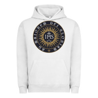 Pigment Lunar Rock ignatius of loyola society of jesus Urban Hoodie - tuanDangUi