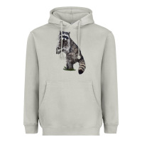 Moon Dust Raccoon Illustrations Heavyweight Hoodie - LillyAllenDesigns