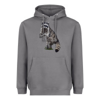 Storm Raccoon Illustrations Heavyweight Hoodie - LillyAllenDesigns