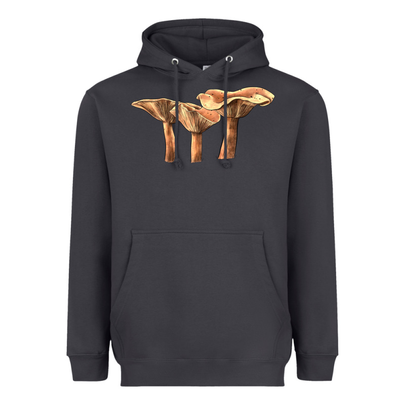Lactarius Rufus Mushroom Heavyweight Hoodie by LillyAllenDesigns | Teevron