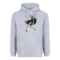 Heather Grey Ostrich Heavyweight Hoodie - LillyAllenDesigns
