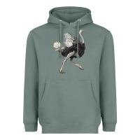 Sage Ostrich Heavyweight Hoodie - LillyAllenDesigns
