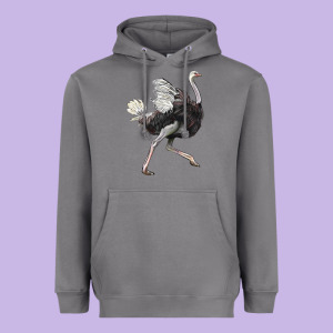 Ostrich Heavyweight Hoodie Designed By Lillyallendesigns