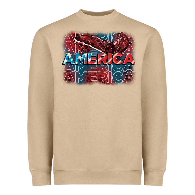 America America America America 4th Of July Heavyweight Sweatshirt by FaDigitalArtStudio | Teevron