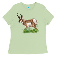 Matcha pronghorn Ladies Tee - LillyAllenDesigns