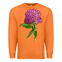Carrot Red Clover Illustrations Premium Sweatshirt - LillyAllenDesigns