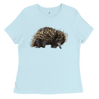 Baby Blue short beaked echidna Ladies Tee - LillyAllenDesigns