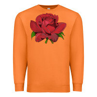Carrot Oklahoma Rose Illustrations Premium Sweatshirt - LillyAllenDesigns