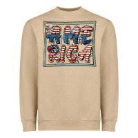 Mushroom America Heavyweight Sweatshirt - FaDigitalArtStudio