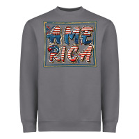 Storm America Heavyweight Sweatshirt - FaDigitalArtStudio
