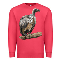 Cardinal Vulture Bird Premium Sweatshirt - LillyAllenDesigns