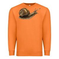 Carrot snail Premium Sweatshirt - LillyAllenDesigns