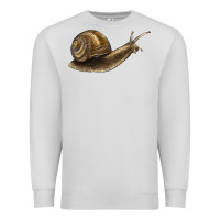 Dove Grey snail Premium Sweatshirt - LillyAllenDesigns