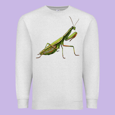 Mantis Premium Sweatshirt Designed By Lillyallendesigns