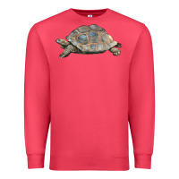 Cardinal Tortoise Illustrations Premium Sweatshirt - LillyAllenDesigns