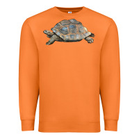 Carrot Tortoise Illustrations Premium Sweatshirt - LillyAllenDesigns