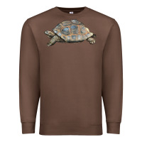 Chestnut Tortoise Illustrations Premium Sweatshirt - LillyAllenDesigns