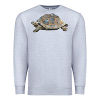 Heather Grey Tortoise Illustrations Premium Sweatshirt - LillyAllenDesigns